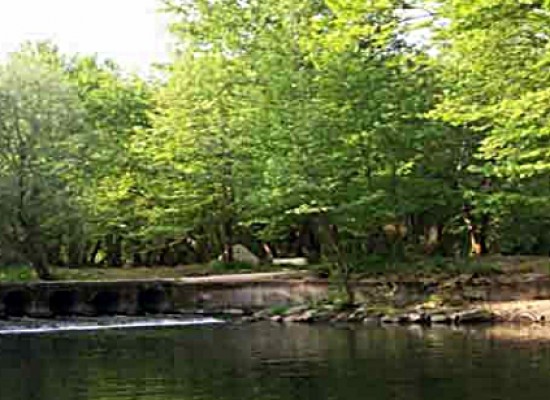 Σειρά «πράσινων» εκδηλώσεων από το Δήμο Σοφάδων