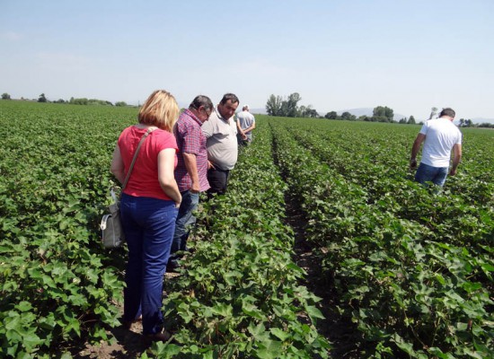 Κλιμάκιο του ΕΛΓΑ στο Δήμο Σοφάδων