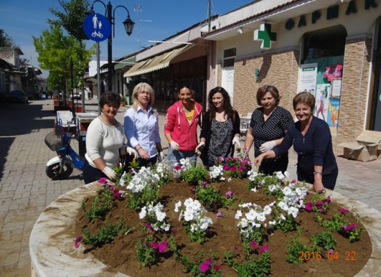 Με πολύχρωμα λουλούδια «ντύθηκε» το κέντρο των Σοφάδων