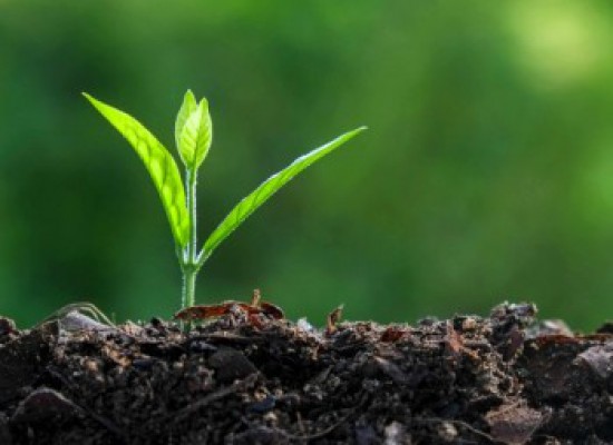 Κάδοι οικιακής κομποστοποίησης στο Δήμο Σοφάδων