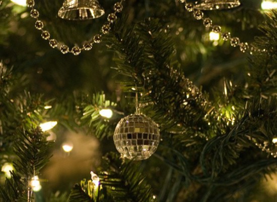 Οι Σοφάδες «ανάβουν» το Χριστουγεννιάτικο δέντρο