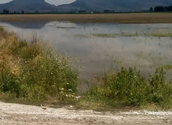 Να καθαριστούν άμεσα οι κοίτες των ποταμών από τον ΓΟΕΒ Θεσσαλίας