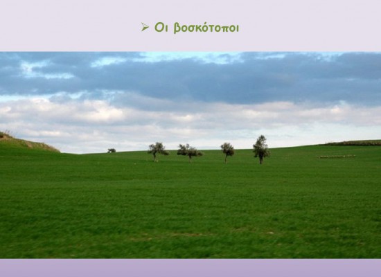 Παραλαβή εντύπων κατανομής βοσκοτόπων