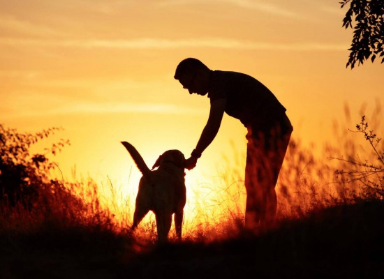 Συζήτηση για την ίδρυση Φιλοζωικού Συλλόγου στο Δήμο Σοφάδων