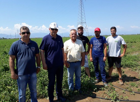 ΔΗΜΟΣ ΣΟΦΑΔΩΝ: ΜΕΧΡΙ 13/8/2018 ΟΙ ΔΗΛΩΣΕΙΣ ΖΗΜΙΑΣ