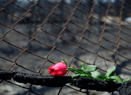 Πυρόπληκτοι – Ανακοίνωση