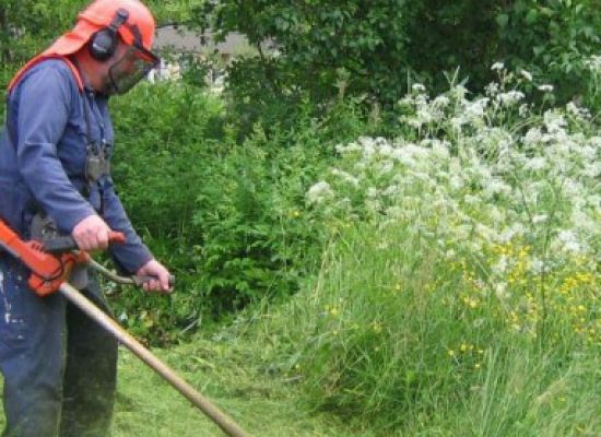 Προκήρυξη συνοπτικού διαγωνισμού για τις Εργασίες συντήρησης πρασίνου κοινοχρήστων χώρων Δήμου Σοφάδων