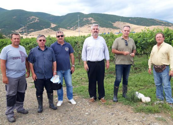 Κλιμάκιο του ΕΛΓΑ για πρώτη αυτοψία ζημιών στον Δήμο Σοφάδων – Από Τρίτη 16/7 η αναγγελία