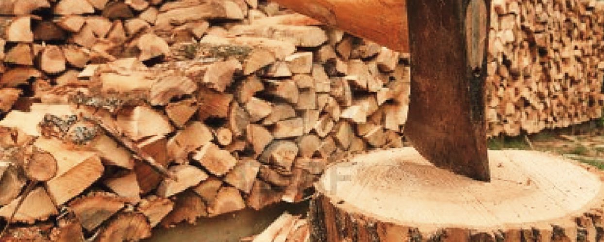 Διακήρυξη για φανερή πλειοδοτική δημοπρασία για ενοικίαση του δικαιώματος υλοτομίας δασικών συστάδων στο διαχειριστικό έτος 2026