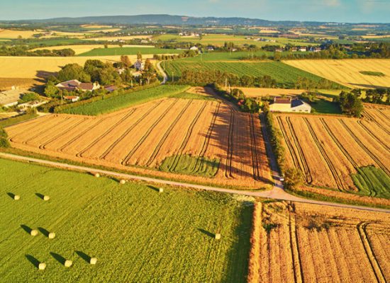 Εκδήλωση στους Σοφάδες για τους εργάτες γης
