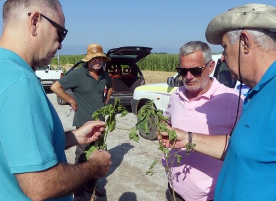 Κλιμάκιο του ΕΛΓΑ στις πληγείσες περιοχές του Δήμου Σοφάδων