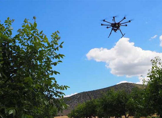 Εκδήλωση με θέμα «Ψηφιακός μετασχηματισμός στη Γεωργία» την Πέμπτη 28 Μαρτίου στο Πνευματικό Κέντρο Σοφάδων