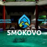 ΑΝΑΚΟΙΝΩΣΗ – ΠΡΟΚΗΡΥΞΗ ΓΙΑ ΤΗΝ ΠΡΟΣΛΗΨΗ ΕΠΟΧΙΚΟΥ ΠΡΟΣΩΠΙΚΟΥ ΜΕ ΣΥΜΒΑΣΗ ΟΡΙΣΜΕΝΟΥ ΧΡΟΝΟΥ