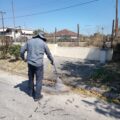 Άμεση κινητοποίηση του Δήμου Σοφάδων για την καταπολέμηση των κουνουπιών μετά το επιβεβαιωμένο κρούσμα Ιού του Δυτικού Νείλου